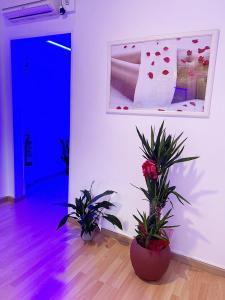 634711720: Chica busca chico en Barcelona