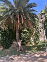 663526446: Chico busca chica en Gerona