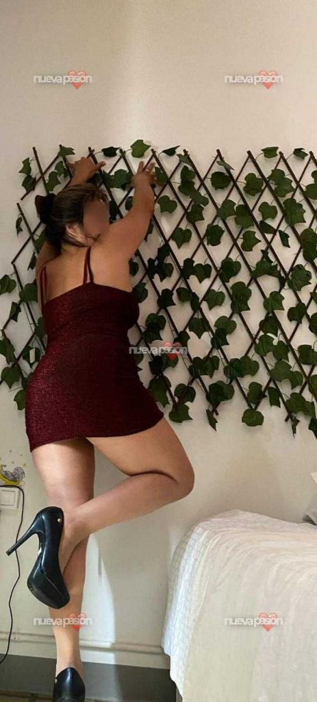 Chica busca chico en Castellón: 