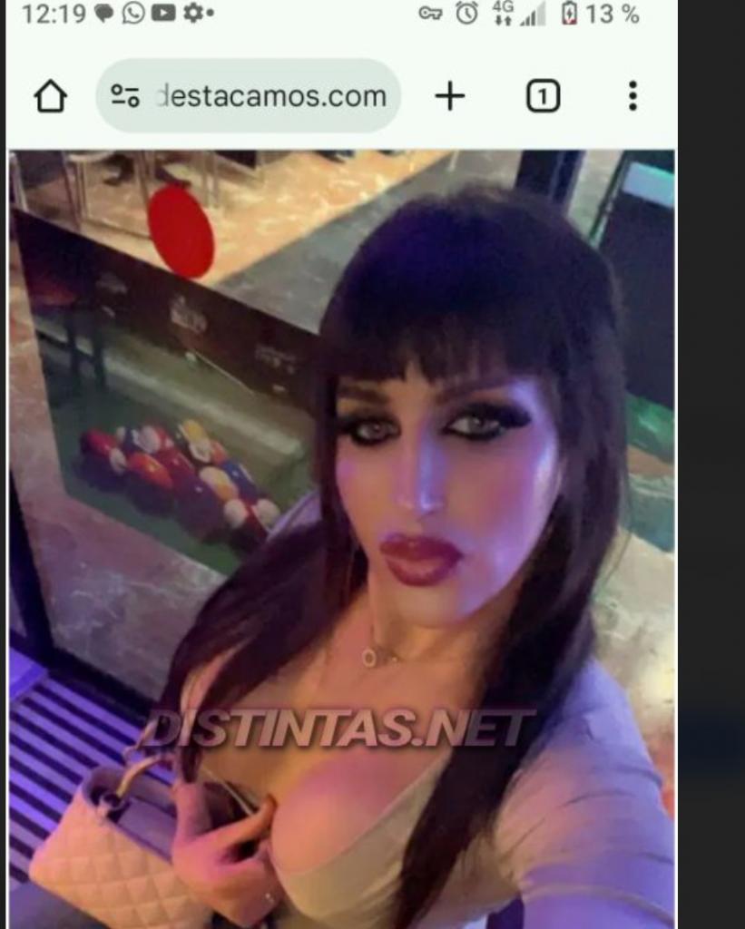 Transexual en Lérida: 