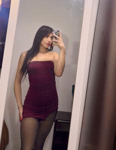 Travesti en Alicante: 