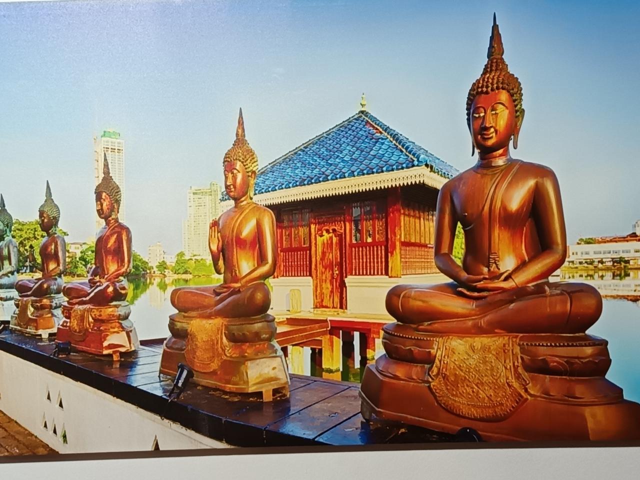 623314771: Chico busca chica en Tenerife