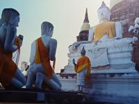 623314771: Chico busca chica en Tenerife