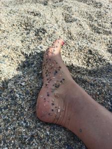 Virtual en Almería: 