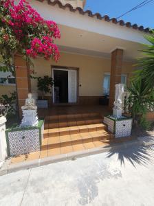 Chica busca chico en Murcia: 