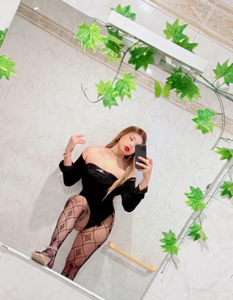 613608369: Travesti en Navarra