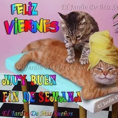 Chica busca chico en Zamora: 