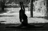 619722534: Transexual en Sevilla