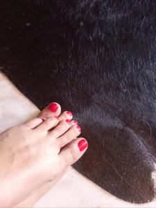 Travesti en Las Palmas: 