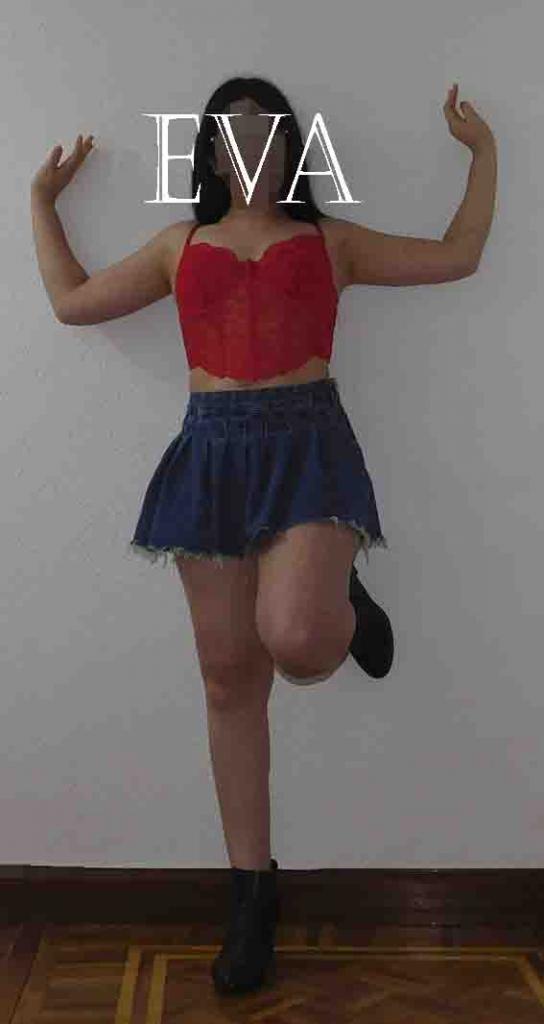 Chica busca chico en Palencia: 