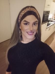 Transexual en Zaragoza: 