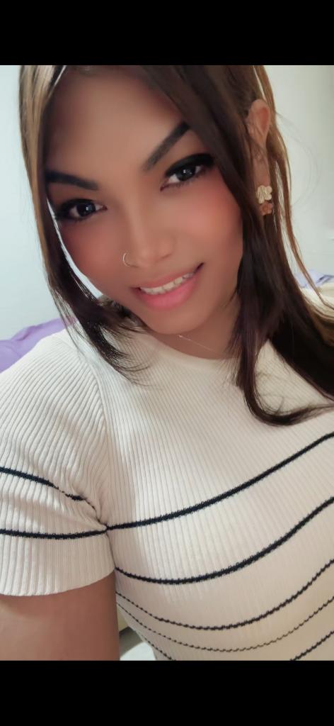 Travesti en Castellón: 