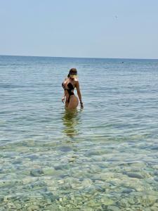 Transexual en Madrid: 