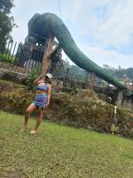 622540062: Chica busca chico en Granada