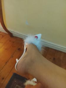 604230421: Chica busca chico en Cantabria