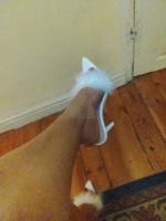 604230421: Chica busca chico en Cantabria