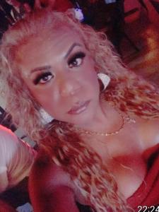 667442745: Travesti en Gerona