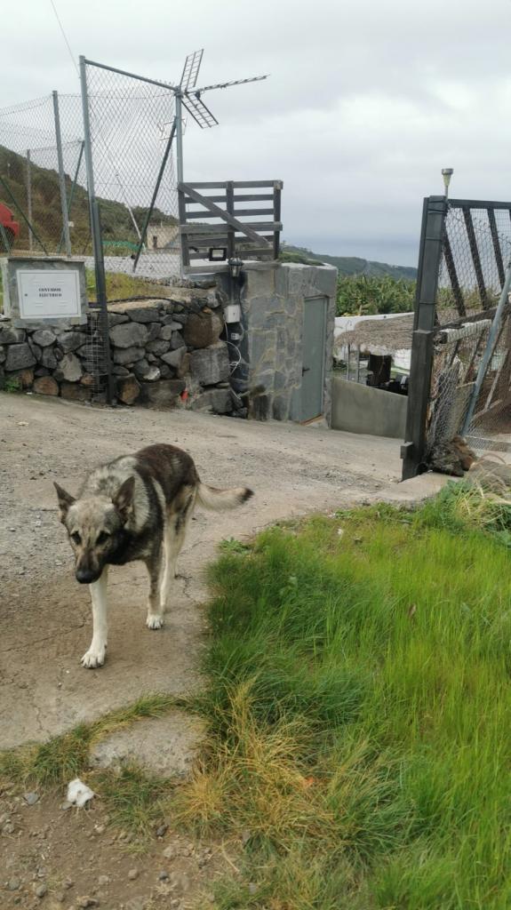 Chica busca chico en Tenerife: 