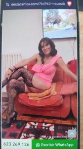 631841305: Travesti en Burgos