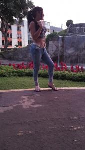 Travesti en Barcelona: 