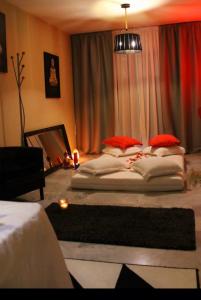 Chico busca chica en Alicante: 