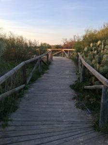 Chico busca chica en Cádiz: 