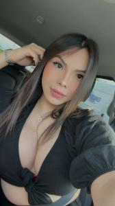 Transexual en Alicante: 