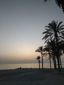 Chica busca chico en Granada: 