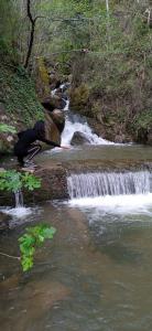 Transexual en Vizcaya: 