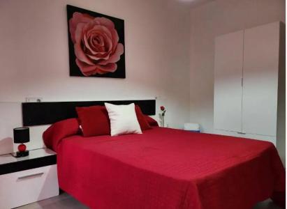 604963549: Chica busca chico en Cuenca