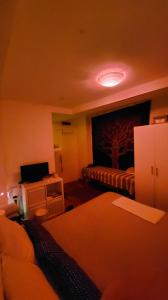 664415806: Chica busca chico en Zaragoza