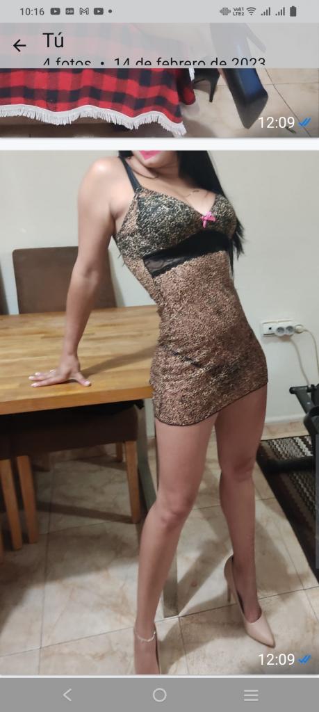 Chica busca chico en Alicante: 