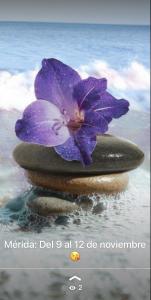 Chica busca chico en Badajoz: 