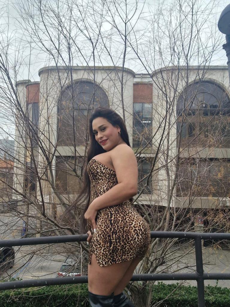 Travesti en Cantabria: Transexuales y Travestis