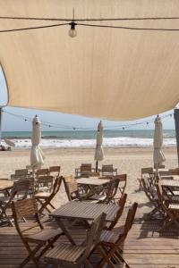 Chico busca chica en Alicante: 