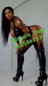 695846539: Travesti en Navarra