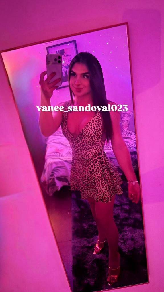 Travesti en Barcelona: Transexuales y Travestis