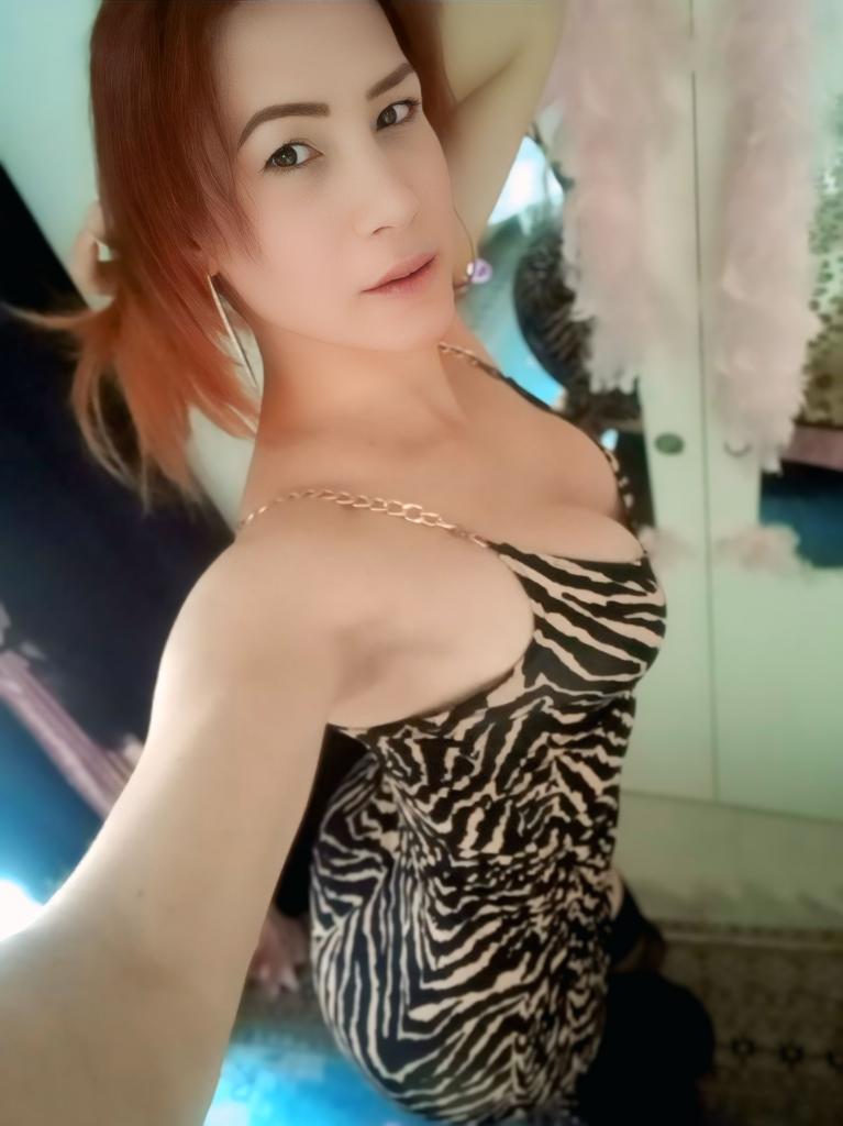 Travesti en Tarragona: 