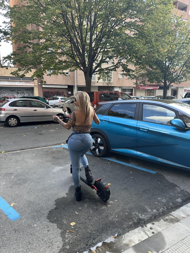 Travesti en Navarra: 