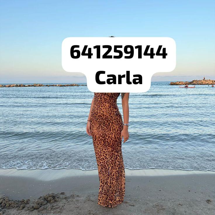 Chica busca chico en Alicante: 