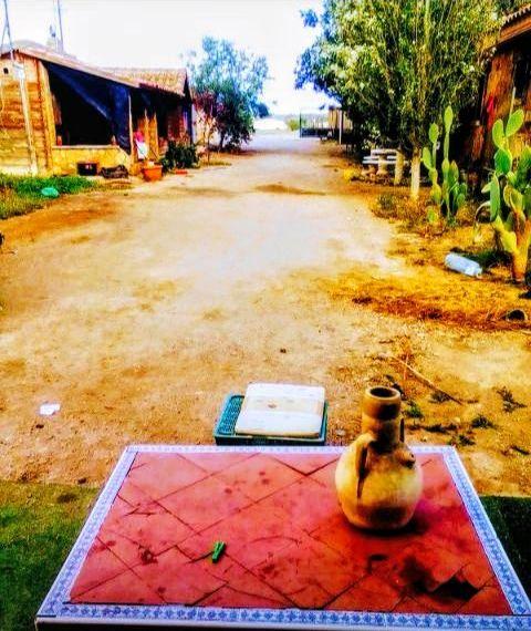 Chica busca chico en Almería: 