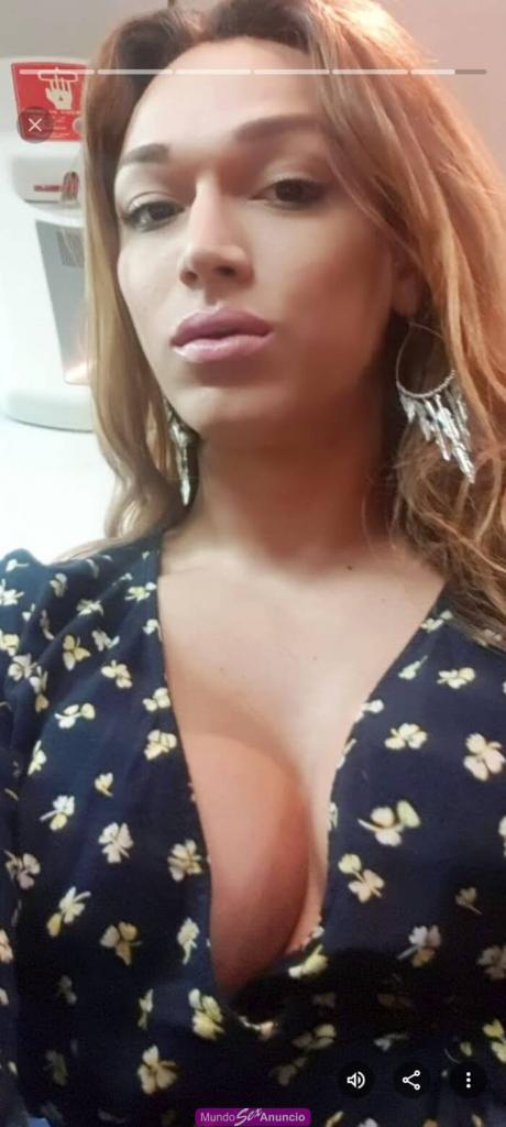 Travesti en Cantabria: 