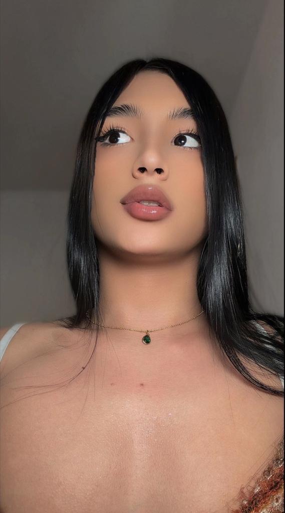 Transexual en Asturias: Transexuales y Travestis