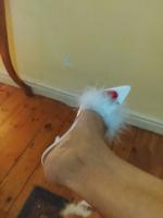 655083811: Chica busca chico en Cantabria