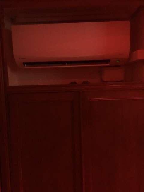 600029479: Transexual en Valencia