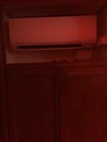 600029479: Transexual en Valencia