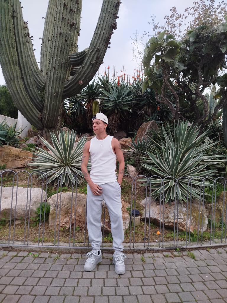 643314821: Chico busca chica en Ibiza