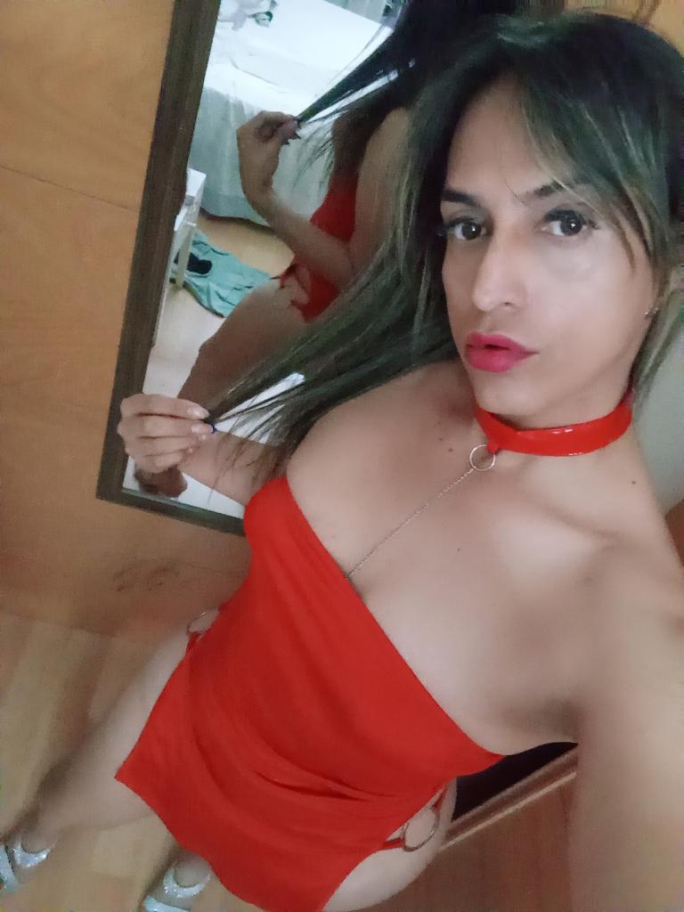 Transexual en Guipúzcoa: 