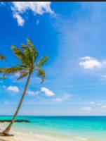 621018702: Chica busca chico en Alicante