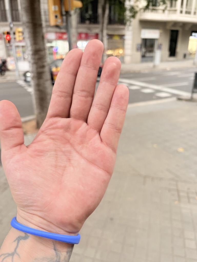 Chico busca chica en Barcelona: 